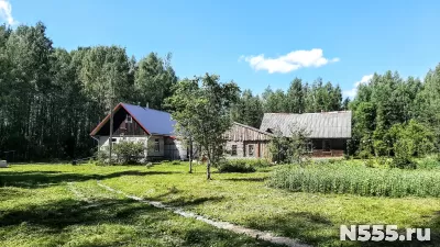 Уютный хутор Тимофеевка под Псковскими Печорами фото 3